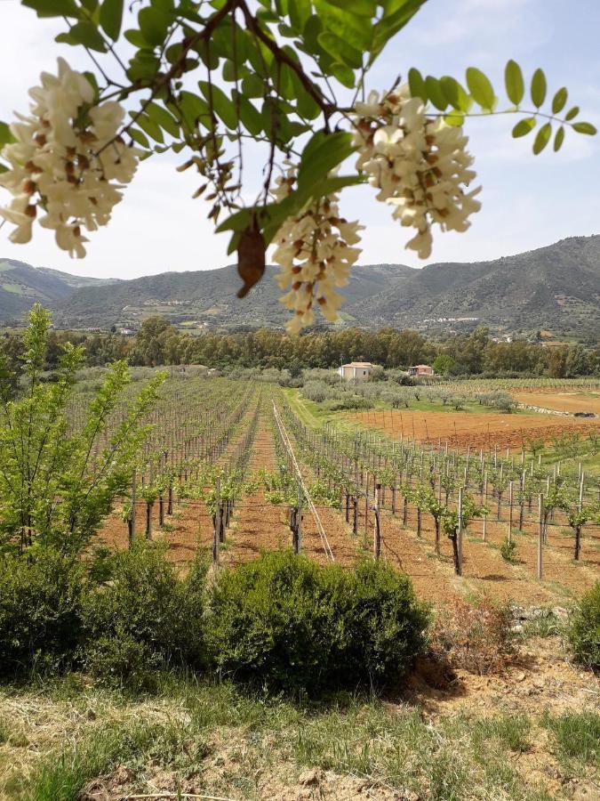 Sa Perda Arrubia Villa Cardedu Kültér fotó